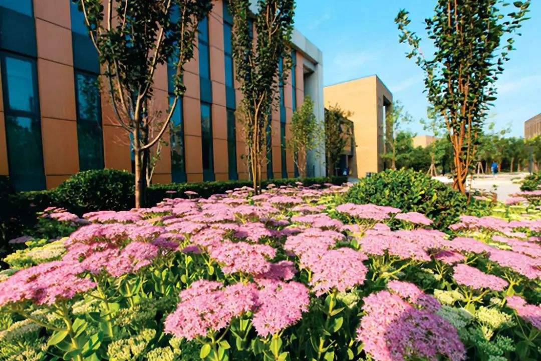 樂山廣播電視大學五通分?！鸽姶蟆?></a></div>
          <dl>
              <dt><a href=