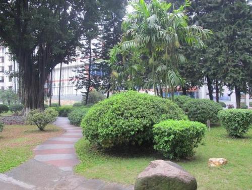 勐臘縣關(guān)累鎮(zhèn)中學