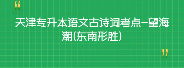 天津?qū)I菊Z(yǔ)文古詩(shī)詞考點(diǎn)-望海潮(東南形勝) 天津?qū)I菊Z(yǔ)文古詩(shī)詞考點(diǎn)-望海潮(東南形勝)