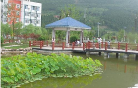 武都縣衛(wèi)生職業(yè)技術(shù)學校
