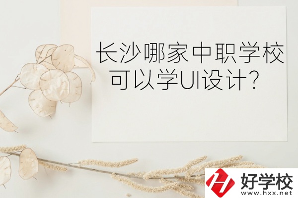 長沙哪家中職學?？梢詫WUI設計？