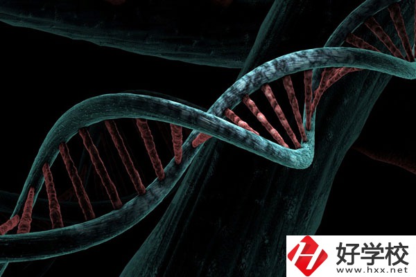 溆浦縣職業(yè)中等專業(yè)學(xué)校宿舍怎么樣？