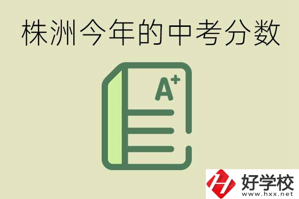 株洲今年中考多少分能上高中？沒(méi)考上有什么選擇？