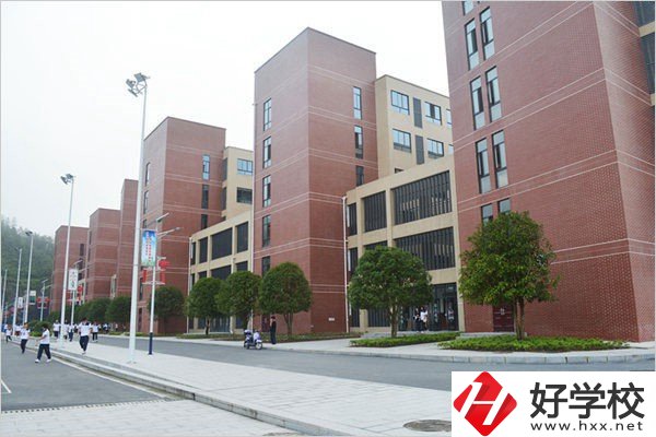 益陽有哪些職高比較有辦學特色？職高入學要求高不高？