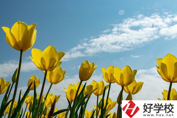 岳陽有開設(shè)工業(yè)機器人技術(shù)應用專業(yè)的中職學校嗎？