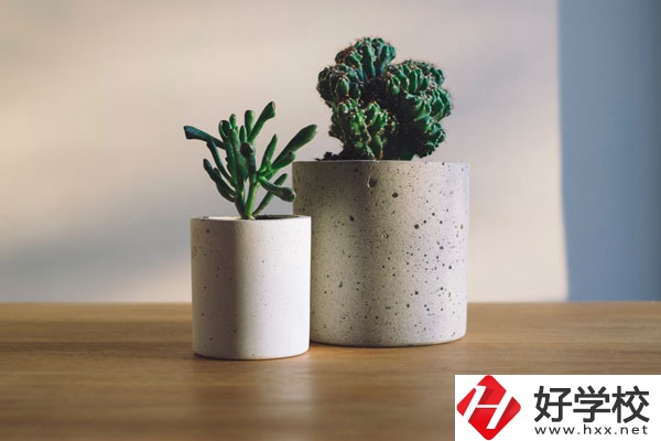 芷江民族職業(yè)中專招生專業(yè)有哪些？收費標(biāo)準(zhǔn)如何？