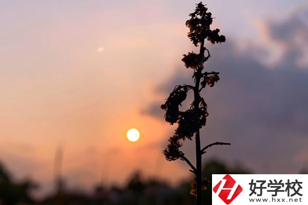 邵陽哈博職業(yè)中專學(xué)校好不好？有什么辦學(xué)特色？