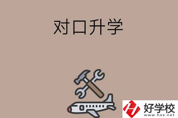 職高學(xué)生參加湖南省對口升學(xué)，有什么本科可以報考？