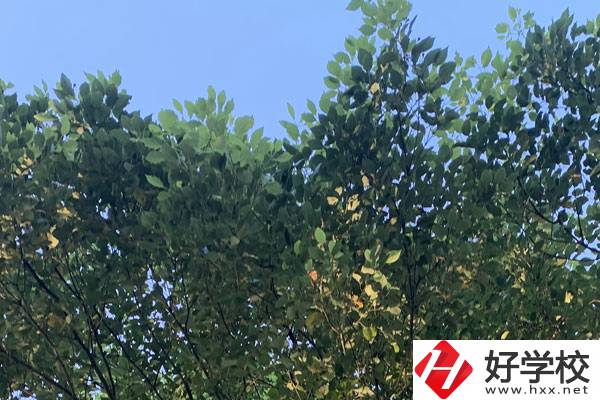 邵陽職業(yè)技術學校就業(yè)好不好？值得報考嗎？