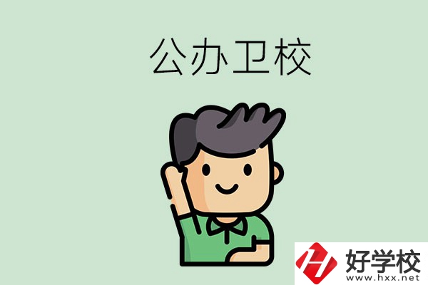 湖南的公辦衛(wèi)校有哪些？這兩所學校值得推薦！