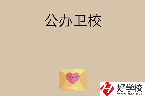 想在湖南上公辦衛(wèi)校？這所學(xué)校值得一看