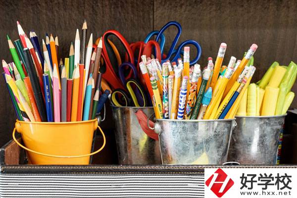 在懷化有什么職校可以學(xué)習(xí)幼師？好不好？