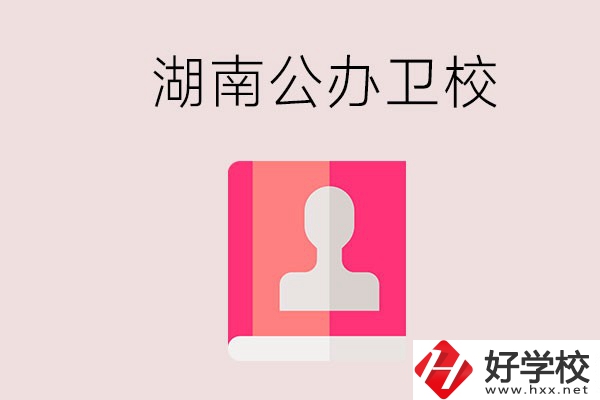 想在湖南上公辦衛(wèi)?？梢赃x擇哪些學(xué)校？