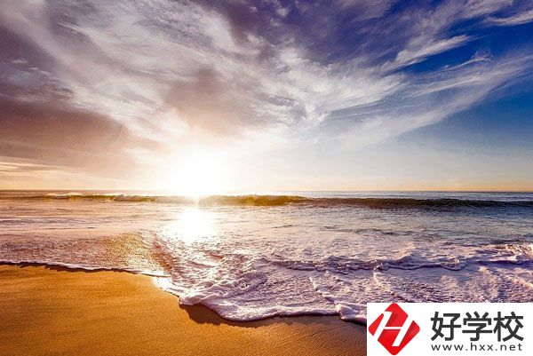 桃源縣機(jī)電成人中專學(xué)校有什么專業(yè)？學(xué)生滿意度如何？