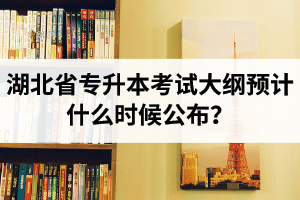 湖北省專升本考試大綱預(yù)計什么時候公布？現(xiàn)階段怎么備考比較好？