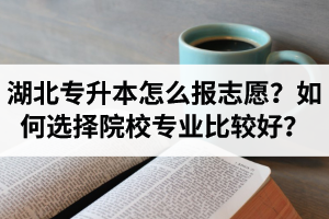 湖北省專升本怎么報(bào)志愿？如何選擇填報(bào)院校專業(yè)比較好？