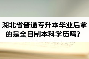 湖北省普通專升本畢業(yè)后拿的是全日制本科學歷嗎？