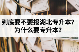 到底要不要報湖北專升本？為什么要專升本？