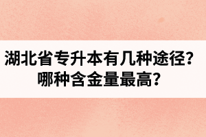 湖北省專升本有幾種途徑？哪種含金量最高？