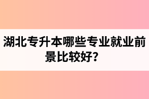 湖北專升本哪些專業(yè)就業(yè)前景比較好？