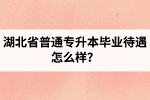 湖北省普通專升本畢業(yè)待遇怎么樣？