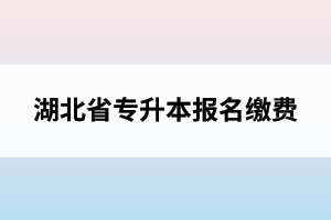 湖北省專升本報名繳費(fèi)