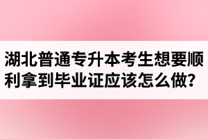 湖北普通專升本考生想要順利拿到畢業(yè)證應(yīng)該怎么做？