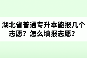 湖北省普通專升本能報(bào)幾個(gè)志愿？怎么填報(bào)志愿？