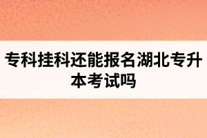 專科掛科還能報名湖北專升本考試嗎？在哪里能獲取最新的專升本資訊？