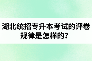 湖北統(tǒng)招專升本考試的評卷規(guī)律是怎樣的？怎么避免丟失細(xì)節(jié)分？
