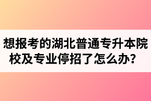 想報(bào)考的湖北普通專升本院校及專業(yè)停招了怎么辦？