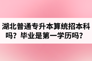 湖北普通專升本算統(tǒng)招本科嗎？專升本學歷是第一學歷嗎？