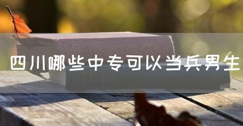 四川哪些中?？梢援?dāng)兵男生(圖1)