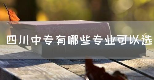 四川中專有哪些專業(yè)可以選？(圖1)