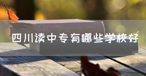 四川讀中專(zhuān)有哪些學(xué)校好？(圖1)