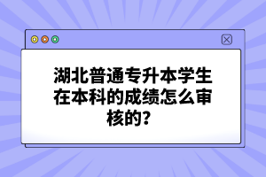 湖北普通專升本學生在本科的成績怎么審核的？