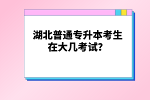湖北普通專升本考生在大幾考試？