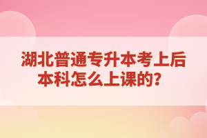 湖北普通專升本考上后本科怎么上課的？