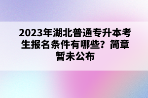 2023年湖北普通專升本考生報名條件有哪些？簡章暫未公布