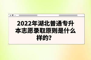 2022年湖北普通專升本志愿錄取原則是什么樣的？