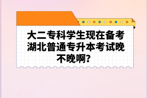 大二?？茖W(xué)生現(xiàn)在備考湖北普通專升本考試晚不晚啊？