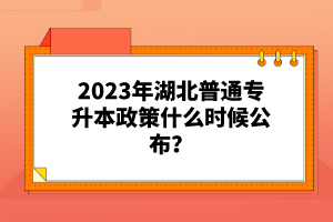 2023年湖北普通專(zhuān)升本政策什么時(shí)候公布？