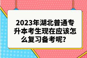2023年湖北普通專升本考生現(xiàn)在應(yīng)該怎么復(fù)習(xí)備考呢？