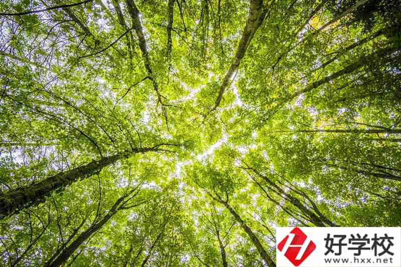 湘西州有哪些公辦中職學(xué)校？