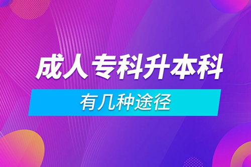 成人?？粕究朴袔追N途徑