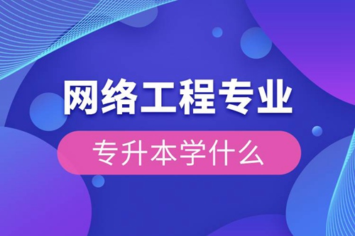 網絡工程專業(yè)專升本學什么