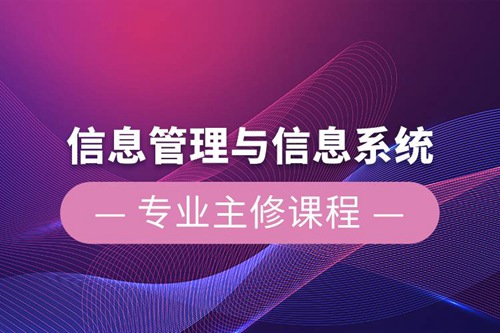 信息管理與信息系統(tǒng)專業(yè)主修課程