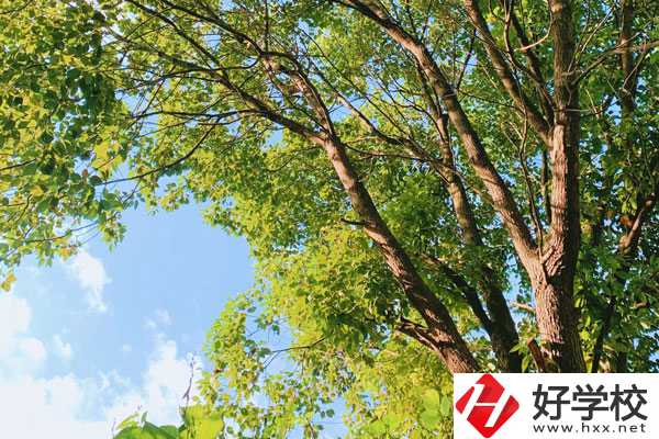 衡陽南華科技學(xué)校教學(xué)質(zhì)量怎么樣？
