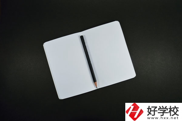 衡陽(yáng)計(jì)算機(jī)學(xué)校計(jì)算機(jī)專(zhuān)業(yè)好不好？