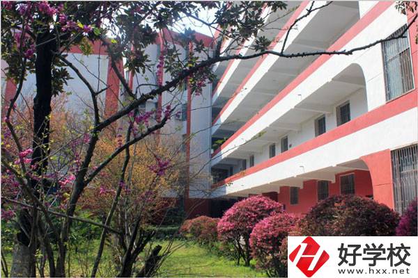 婁底有哪些技校？哪一所比較好？